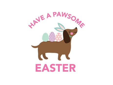 2022 easter michellegemmel dog9