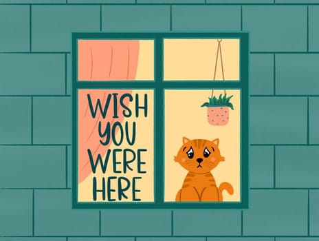 2021 everyday lorimalkhassian cat