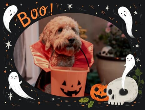 2025 halloween frame 06