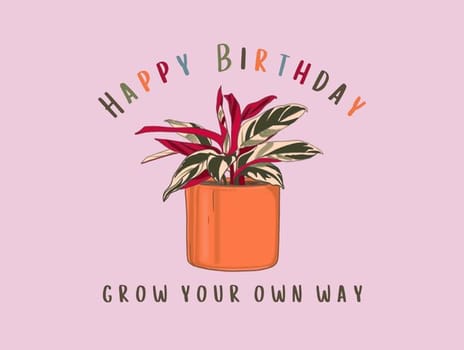 2023 birthday bruna plants