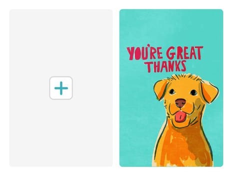2021 thank you alisonwatson dog thanks