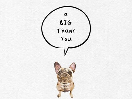 2021 thankyou joscott bigthankyoudog