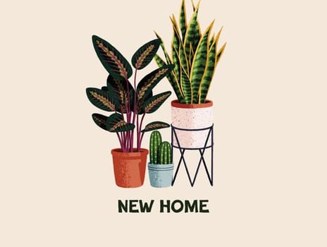 2024 newhome ianowen plants