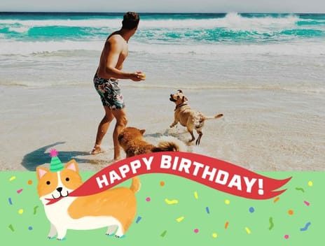 birthday dog frame