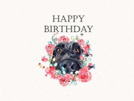 2021 birthday joscott shihtzu
