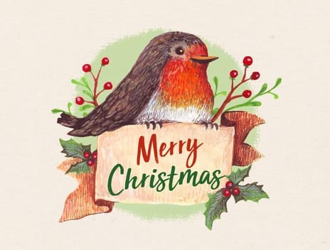 2019 christmas merrychristmas bird