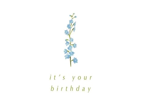 2023 birthday abby flowers