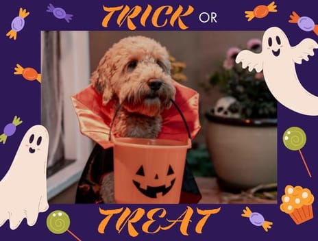 halloween frame 06