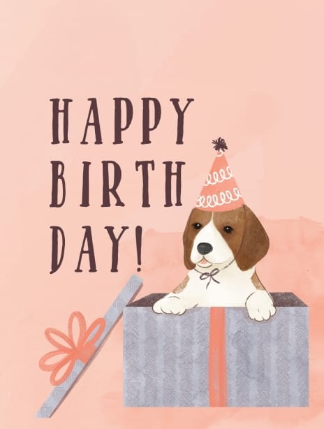 2024 birthday jenna dog1