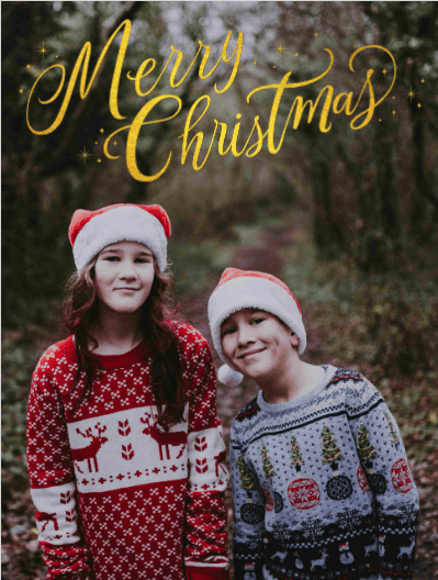 2025 christmas 501