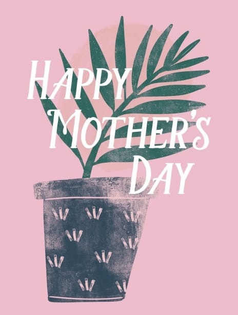 2025 mother'sday jenna pot