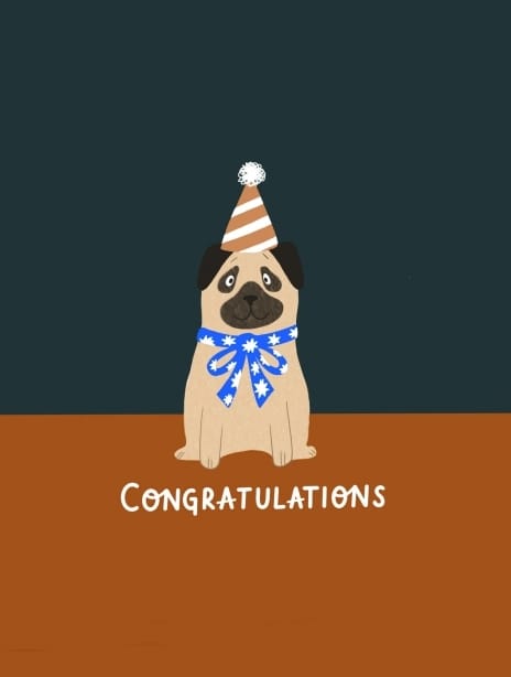 2022 congratulations kaytrain dog