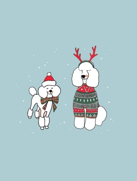 2021 christmas kaytrain dogs