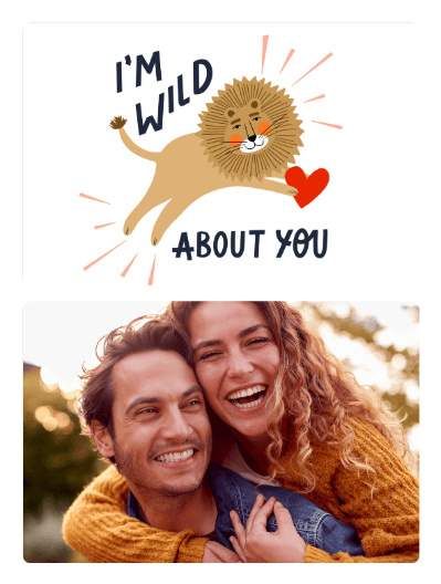 2022 valentine lion