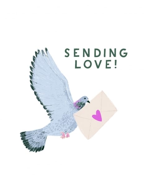 2022 valentine hannahbottino bird