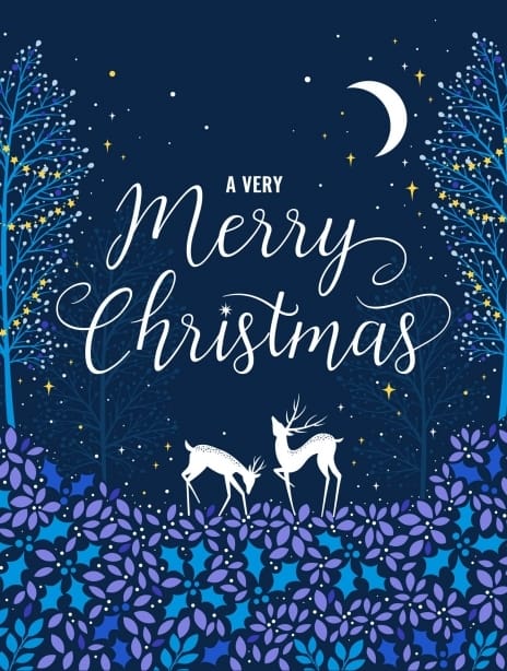 2024 christmas siya deer