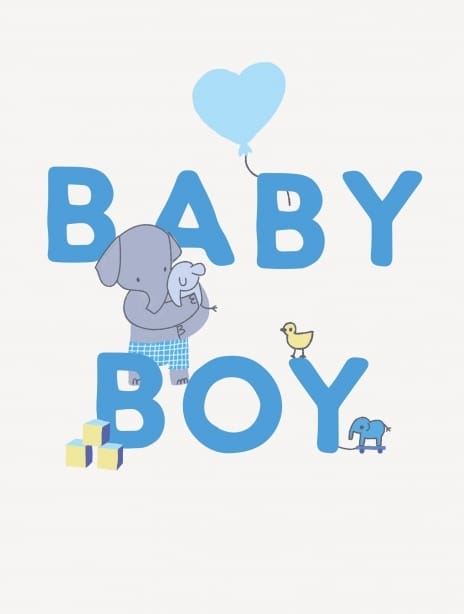 2025 newbaby holly babyboy