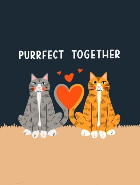 2022 valentine catspurrfect