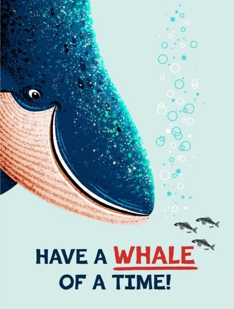 2025 birthday ianowen whale