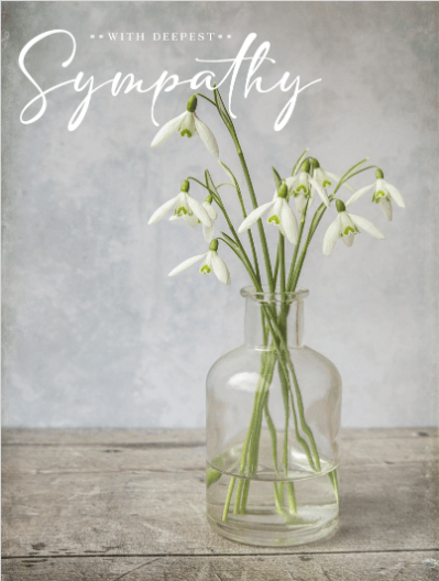 2025 sympathy 65