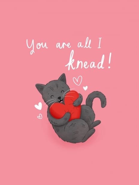 2023 love anniversary thinkingofyou chloe cat