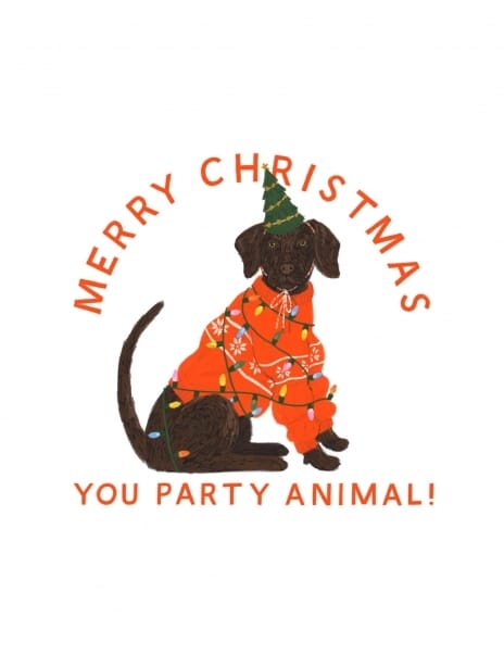 2021 christmas dog