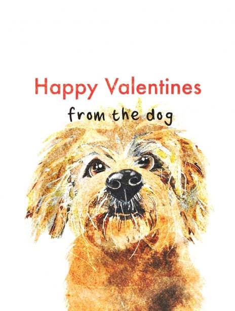 2022 valentine joscott dog