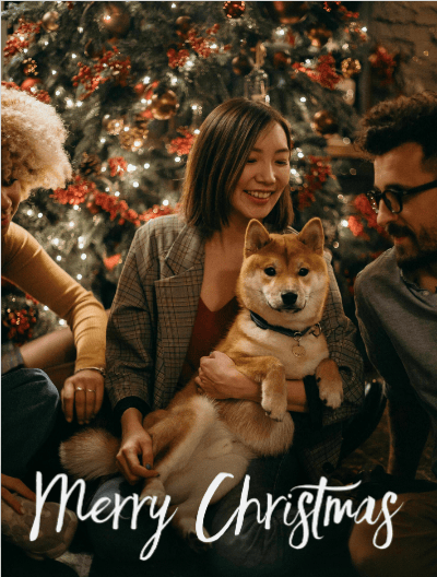 2021-xmas-38