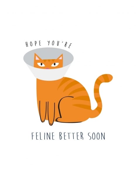 2022 getwellsoon jessicaeyre cat