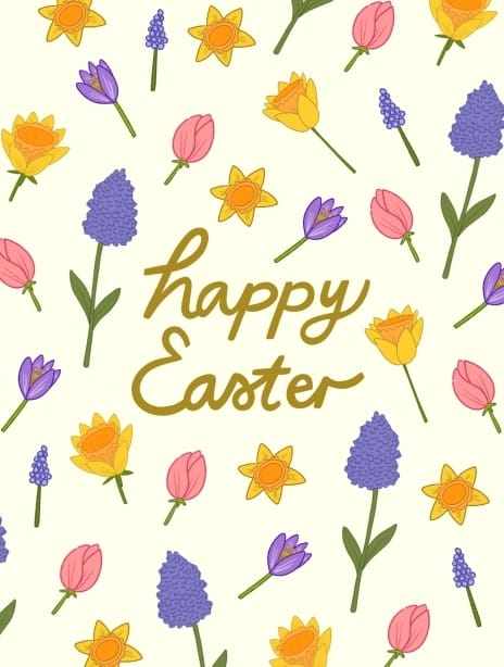 2024 easter kaytrain daffodills