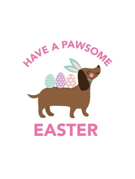 2022 easter michellegemmel dog9