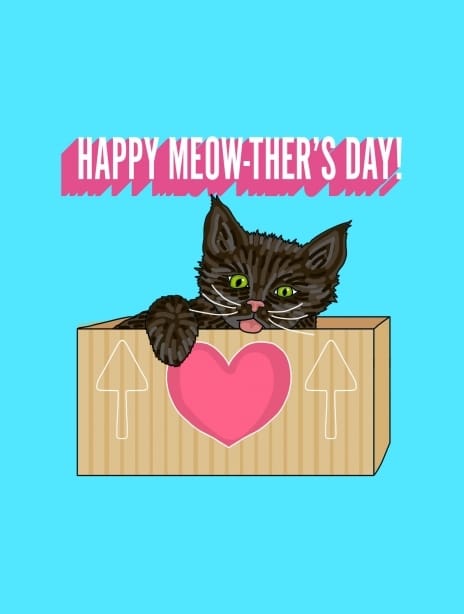 2022 mother'sday clairehuntley cat2