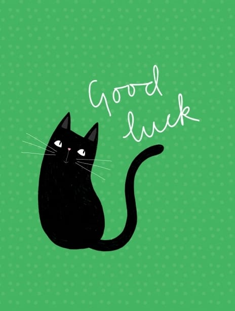 2023 goodluck sorcha cat