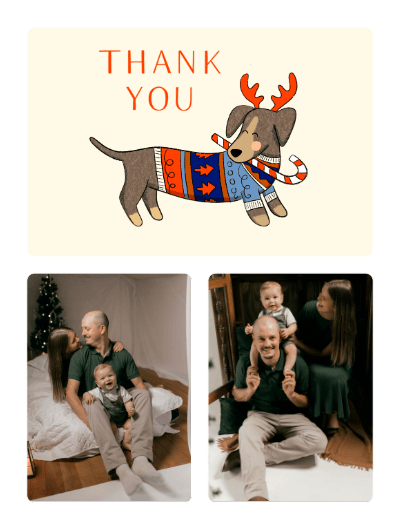 2024 thankyou kaytrain dog
