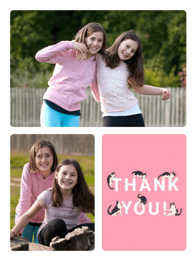 2023 thankyou bruna cats