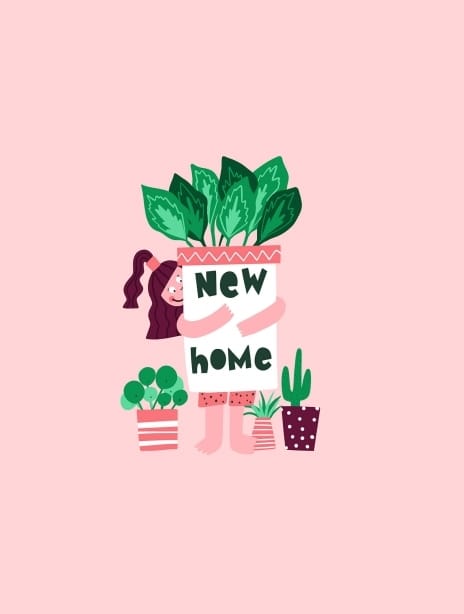2021 lucymaggiedesigns plants
