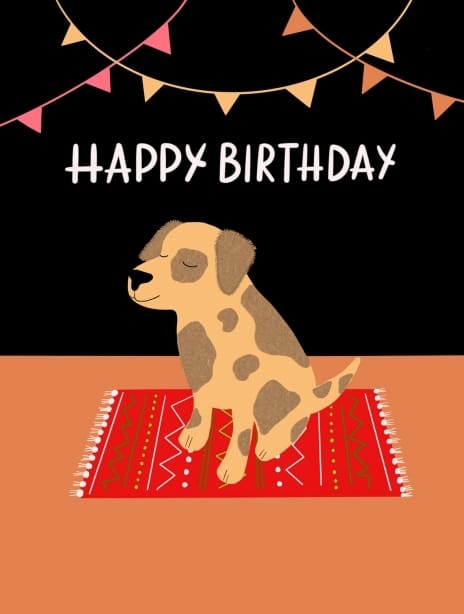 2022 birthday kaytrain dog1