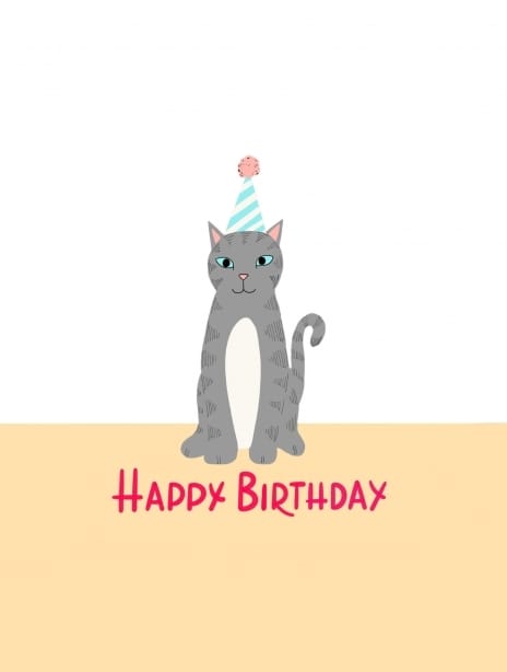 2022 birthday kaytrain cat3