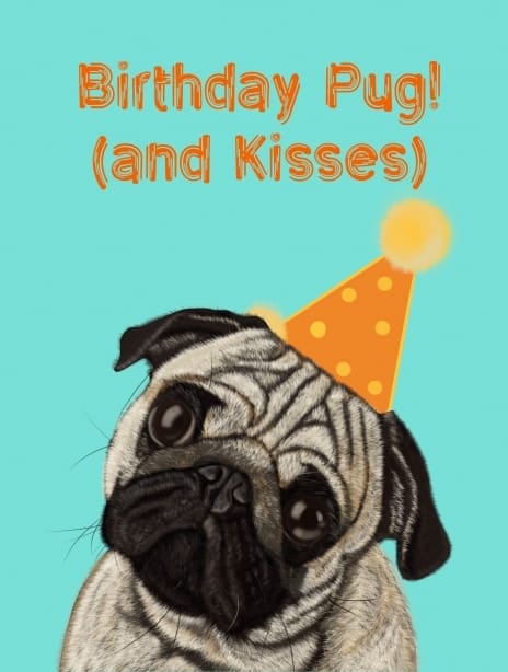 2025 birthday anna pug