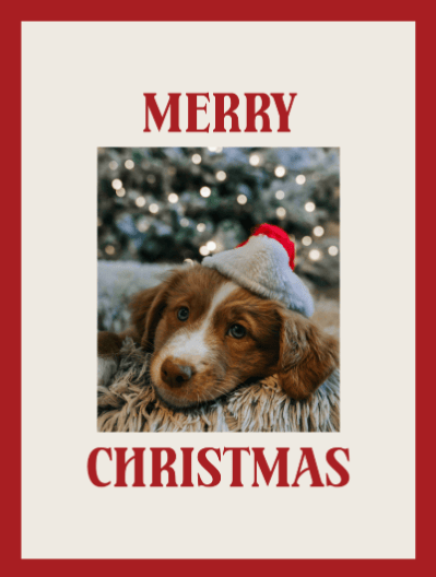 2025 christmas frames 10