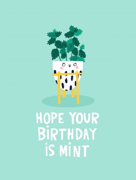 2025 birthday lucymaggiedesigns mint