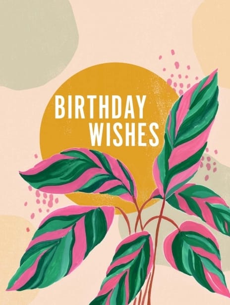 2024 birthday siya sun