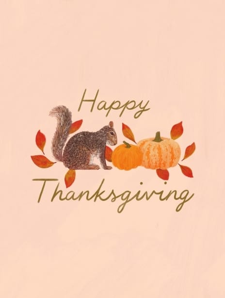 2021 thanksgiving hannahbotino thanksgiving2 pink