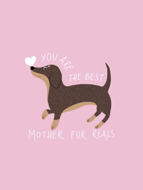 2021 mothersday furreals b&c tobediscussed