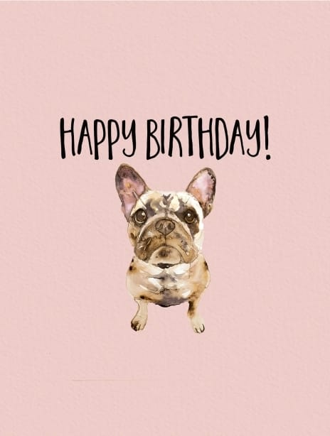 2021 birthday joscott frenchie