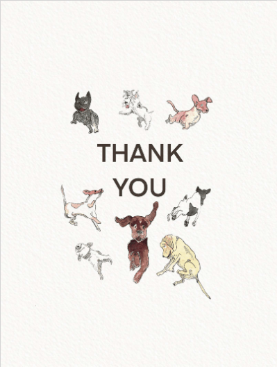 2021 thankyou joscott thankyoudogs