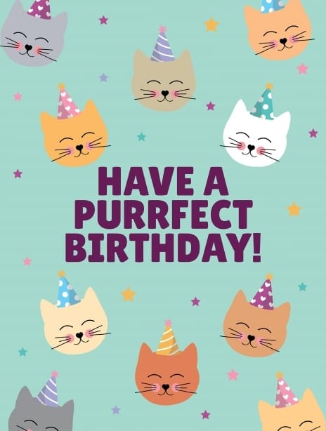2025 birthday emma cat2