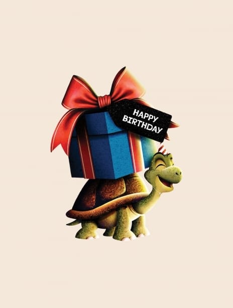 2024 birthday ianowen turtle2