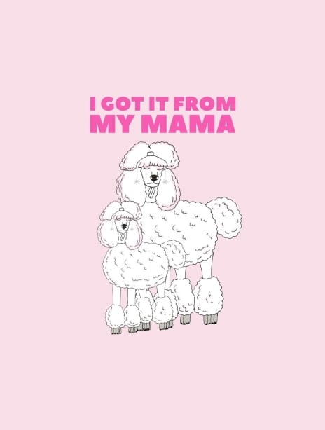 2022 everyday pearlivy llama1