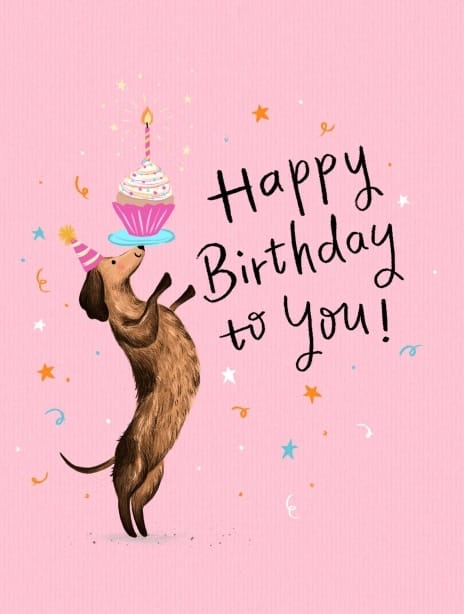 2024 birthday siya dog3
